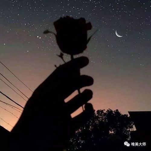 失而复得下一句