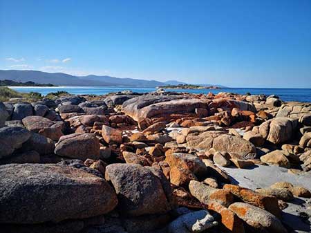 心旷神怡下一句