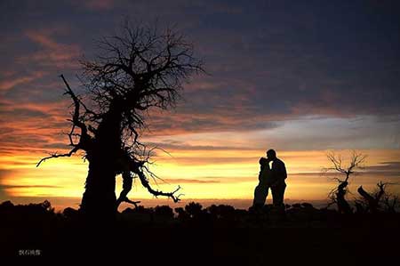 岁月不饶人下一句