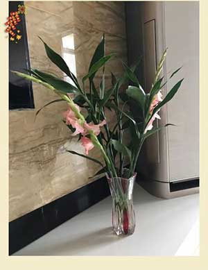 事业长虹节节高下一句