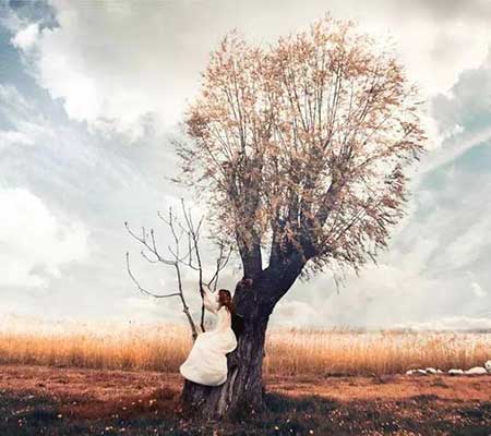 阳光正好下一句