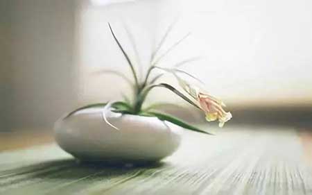 人情薄如纸的下一句