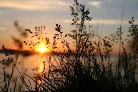 驰骋疆场下一句