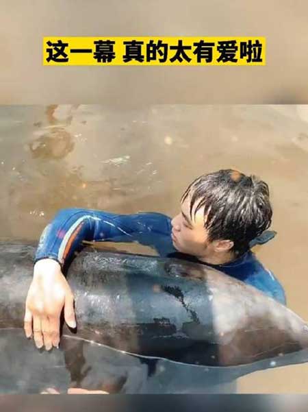 故事还在继续下一句