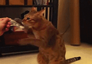 拳不离手的下一句是什么