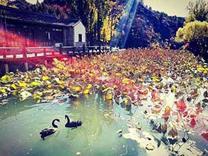 一年好景君须记下一句是什么
