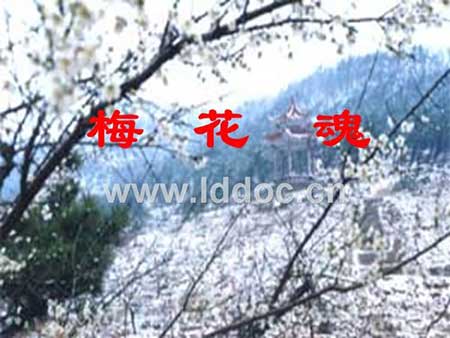 春草明年绿的下一句