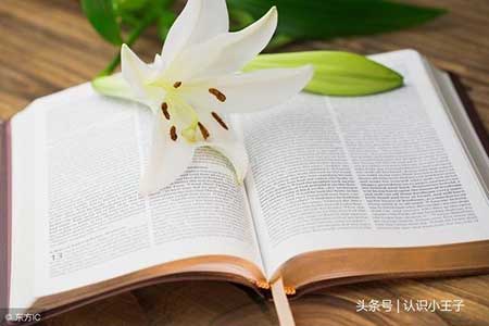 读万卷书的下一句是什么