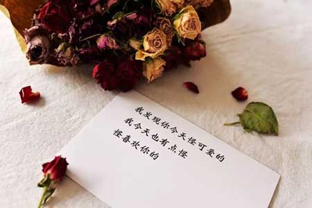 早已过了耳听爱情的年纪下一句