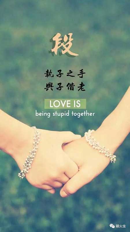 执子之手与子偕老下一句