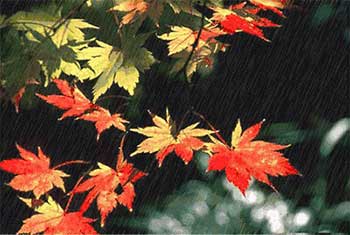 一场秋雨一场寒下一句是什么