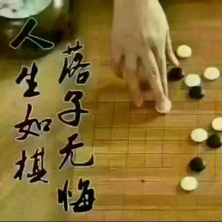 落子无悔下一句
