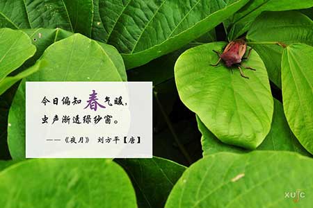 最是一年春好处的下一句