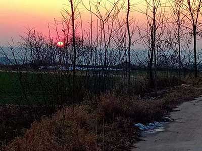 夕日欲颓下一句
