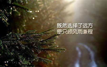 苦读十年寒窗书下一句