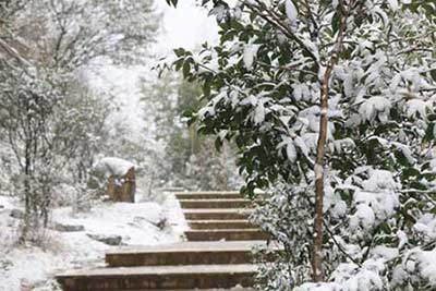 雪落无声下一句