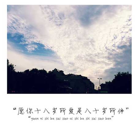 爱你所爱下一句
