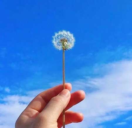 阳光明媚下一句接搞笑的句子