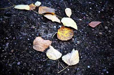 无边落木萧萧下的下一句是什么