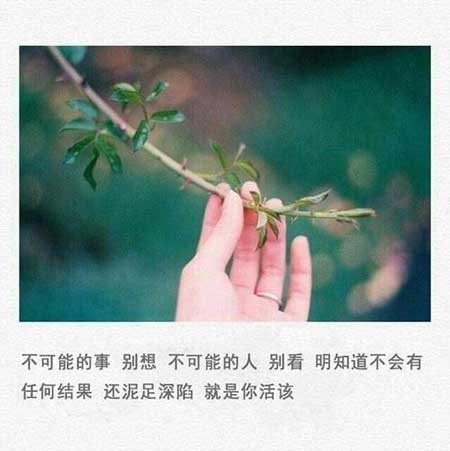 盛衰各有时下一句