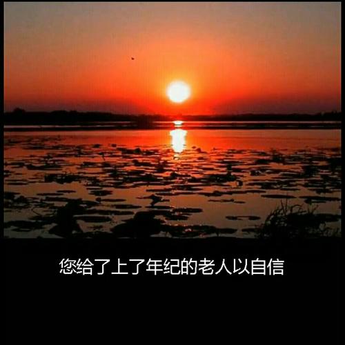 夕阳无限好下一句是什么