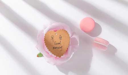 各取所需下一句是什么