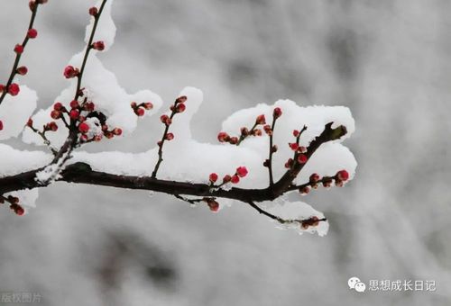 安之若素下一句