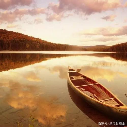 岁月沧桑的下一句