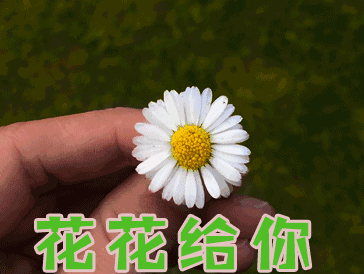 家花没有野花香下一句