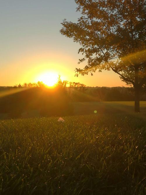 岁月匆匆下一句