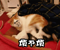 滚犊子下一句怎么接