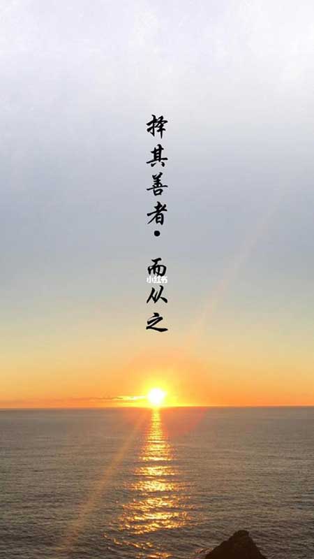 择其善者而从之下一句