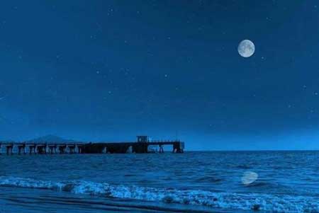 可怜九月初三夜的下一句是什么