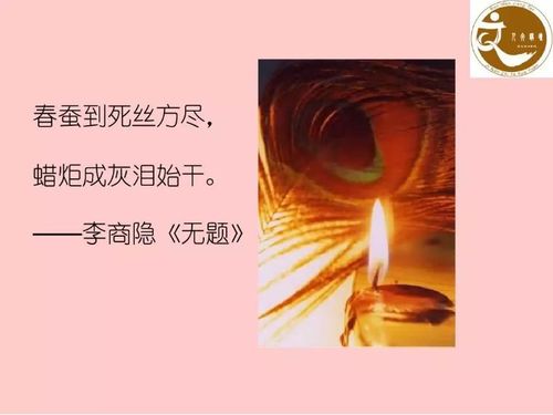 春蚕到死丝方尽下一句是什么
