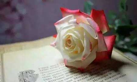 有缘自会相见下一句是什么