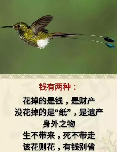 有理走遍天下的下一句