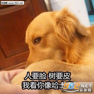 蹬鼻子上脸下一句该接什么