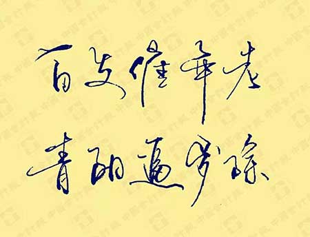 白发催年老的下一句