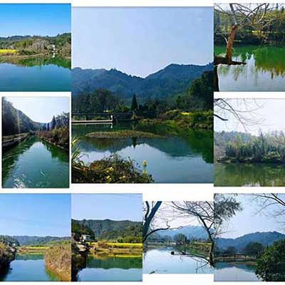 一水护田将绿绕下一句