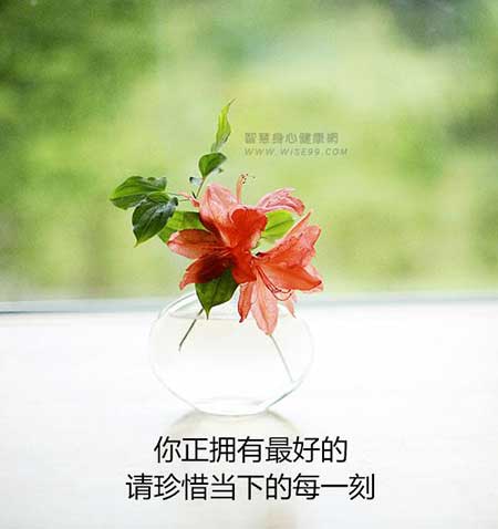 珍惜当下下一句是什么