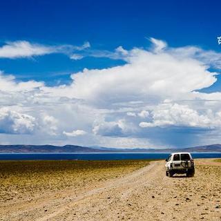 陪我到可可西里看一看海下一句