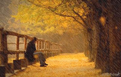 一场秋雨一场寒的下一句是什么