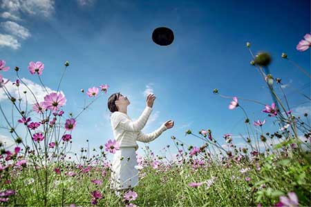 与世无争下一句是啥