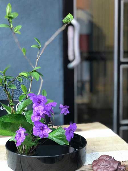 岁月无痕下一句是什么