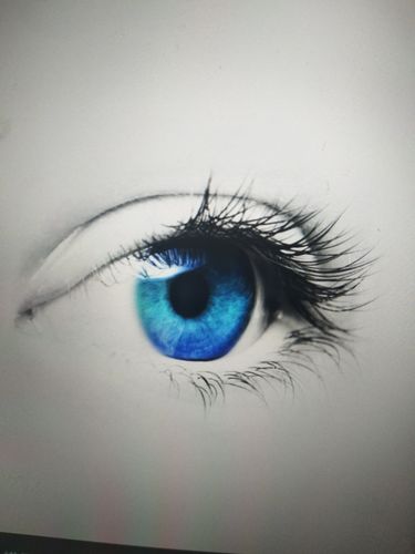 眼睛是心灵的窗户下一句
