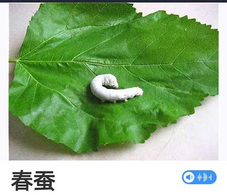 寒来暑往下一句是什么