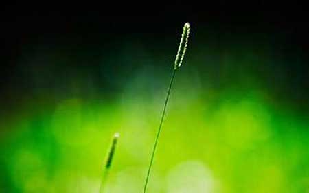 何其有幸下一句