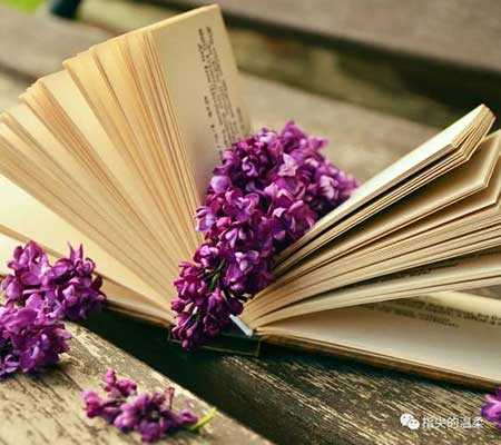 生生不息下一句是什么