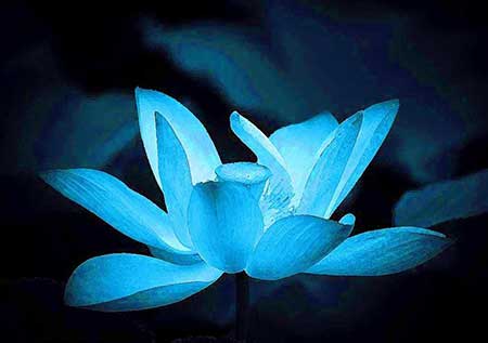 缘起性空下一句