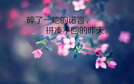 牢骚太盛防肠断下一句